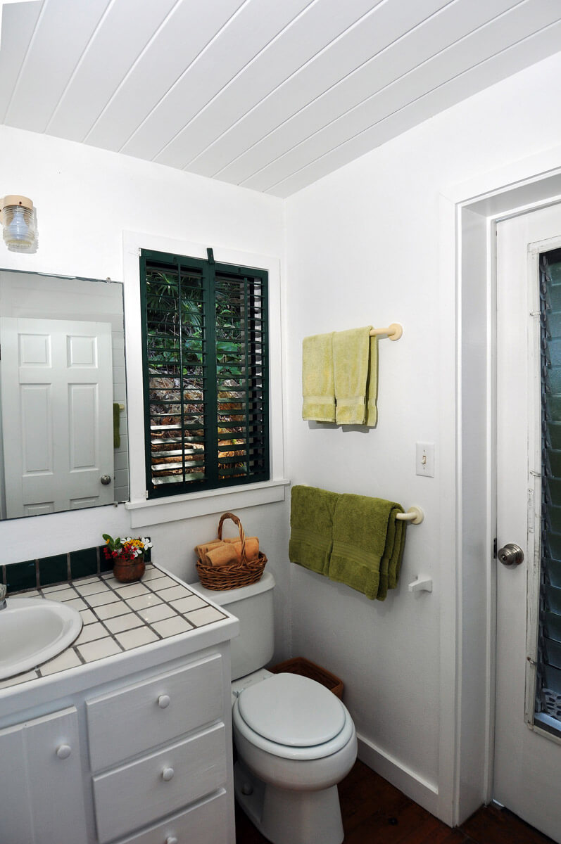 Bathroom with door to shower garden