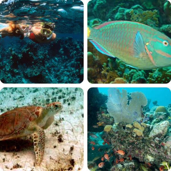 Snorkeling on St John