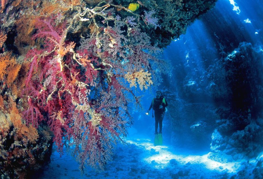 coral bay scuba diving