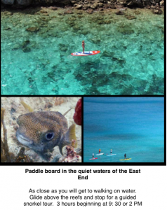 st. john paddle boarding