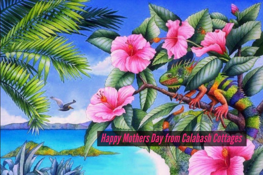 St John Virgin Islands Mothers Day