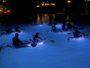 Night Kayaking @ The Westin Resort